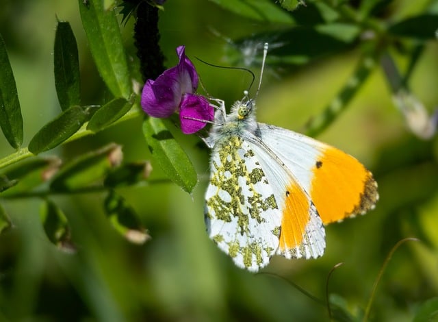 brain illustration memory improvement tips